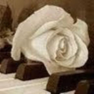 Meet your Posher, Tracie